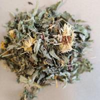 Infusette détox x20