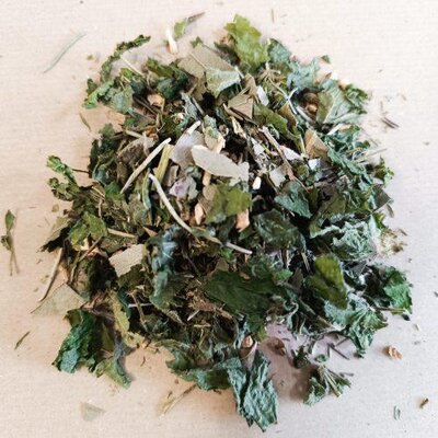 Infusette antioxydante x20