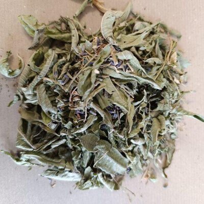 Infusette détente x20