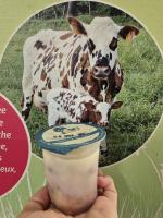 Semoule dessert au lait sur lit de framboise