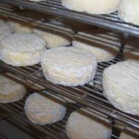 Bon gros de chèvre mi-frais