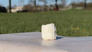 Cabri de chèvre mi-sec