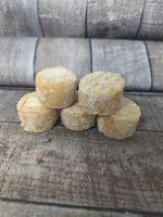 Cabri de chèvre sec