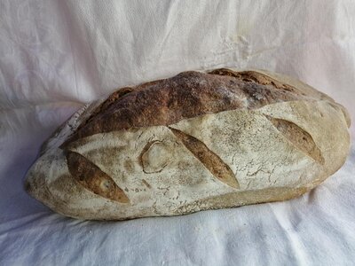 Pain de campagne 1 kg