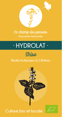 Shiso