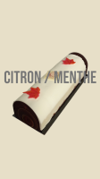 Bûche de noël citron-menthe