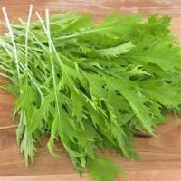 Mizuna verte ( moutarde japonnaise)