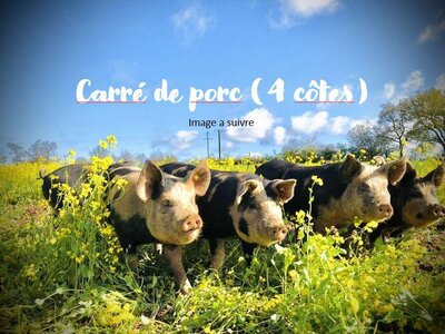 Carré de porc - porc plein air
