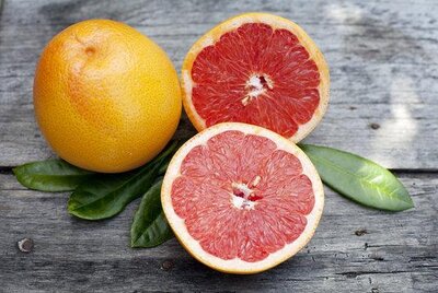 Pomelo corse bio igp
