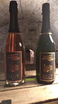 Méthode traditionnelle blanc de blancs