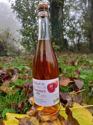 6 bouteilles de pétillants de pommes