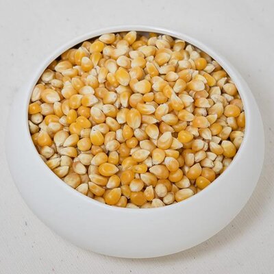 Mais pop corn - sachet de 500g