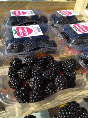 Confiture de mûres