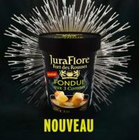 Fondue prête à l'emploi