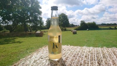 Fk kombucha nature