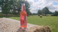 Fk kombucha framboise