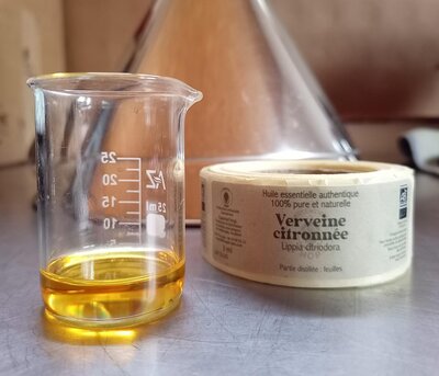 Huile essentielle verveine citronnee