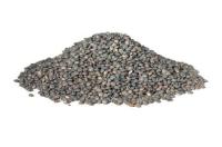 Lentilles vertes- sachet de 280g