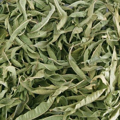 Tisane de verveine