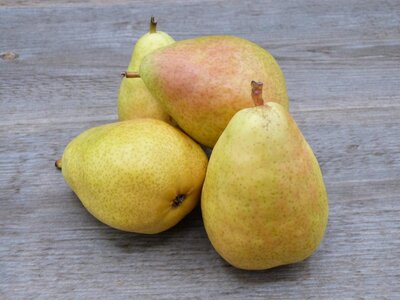 Poires harrow sweet-[COPIE A MODIFIER]