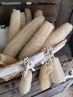 Luffa ou éponge naturelle