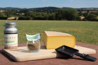 Raclette 1/4 de meule herbes de provence