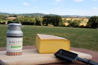 Fromage à raclette 1/4 de meule nature