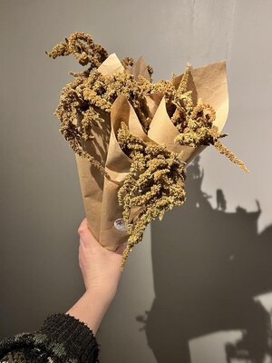 Botte d'amarante séchée