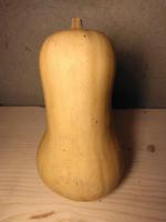 Butternut