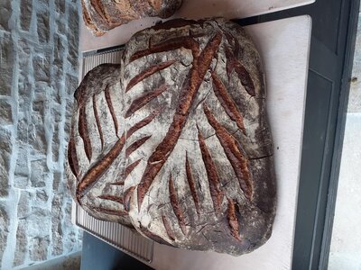 Pain de cissey 1kg