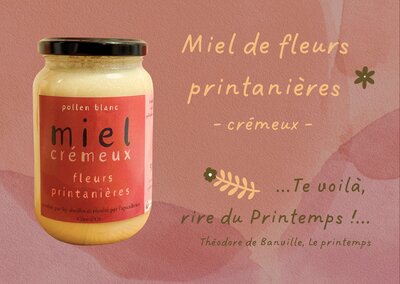 Miel crémeux de fleurs printanières - 250g