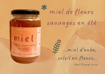 Miel de fleurs sauvages d'été - 500g