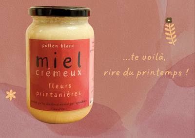 Miel crémeux de fleurs printanières - 500g