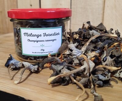 Melange forestier - champignons sauvages