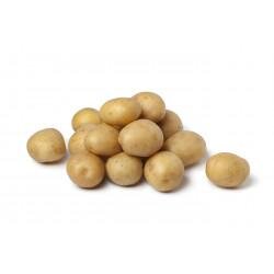 Pomme de terre grenaille
