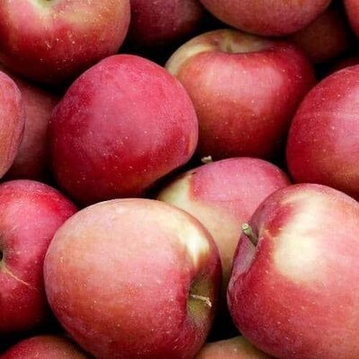 Pomme fuji