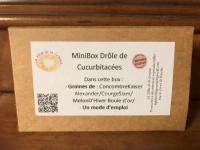 Minibox drôles de cucurbitacées (graines)