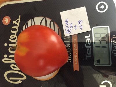 Tomates coeur de boeuf en mélange (graines)