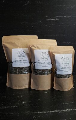 Sachet lentilles vertes 450g