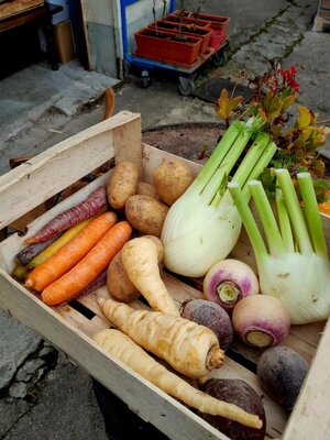 Petit panier de légumes biologique