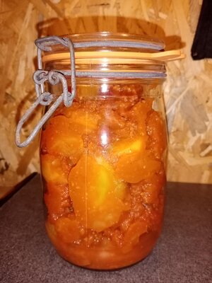 Crumble a la courge