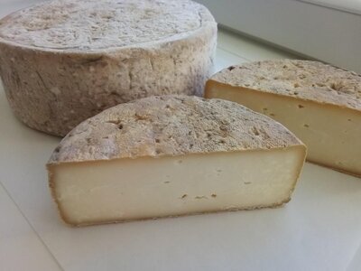 Tomme de chèvre