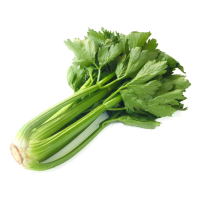 Céleri sec