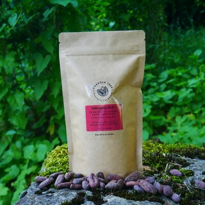 Ecorces de cacao pour infusion,immunise-moi!