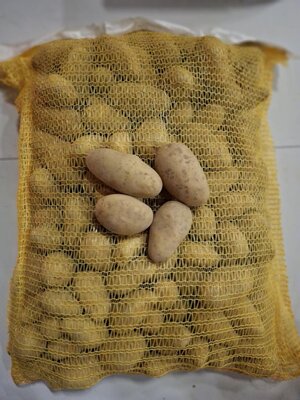 Pomme de terre allians bio 10 kg