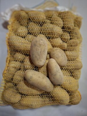 Pomme de terre allians bio 5 kg