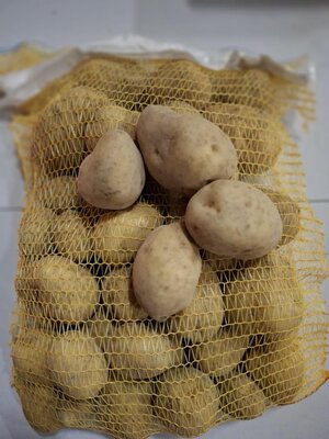 Pomme de terre bio agria 5 kg