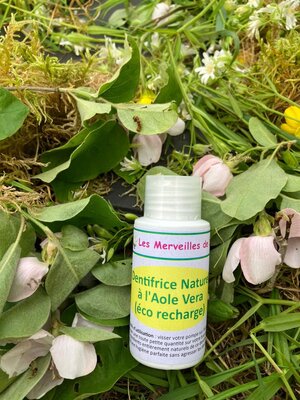 Eco-recharge dentifrice à l'aloé véra