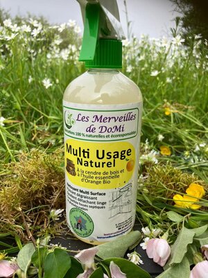 Spray nettoyant multi-usage à l'orange