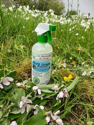 Spray nettoyant multi-usage au lavandin
